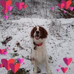 Eileen Newell - Facebook