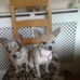 Eileen Newman - Facebook