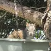 Eileen Newman - @eileen.newman4 - TikTok