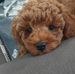 Eileen Nicholson - Facebook