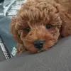 Eileen Nicholson - @eileen.nicholson53 - TikTok