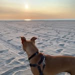 Eileen Nicholson McDonough - @leenymcd - Instagram