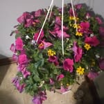 Eileen Nordness - @eileennordness - Instagram