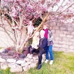 Eileen Norris - @norriseileen854 - Instagram