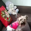 Eileen Nunez - @eileen.nunez - TikTok