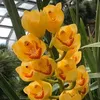 Eileen Ong - @eileen.ong - TikTok
