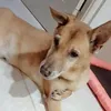 Eileen Ong - @eileen.ong08 - TikTok