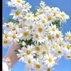 EileenParrish - @ebertgoew12 - TikTok