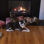 Eileen Pate - @evpate - Instagram