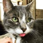 Eileen Patrick - @eileenpatrick10320 - Instagram