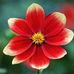 Eileen Patrick - Facebook