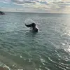 Eileen Penaflor - @pineapple.flowers - TikTok