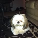 Eileen Perrin - @perrineileen - Instagram