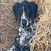 Eileen Pfeiffer - Facebook