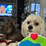 Eileen Pierce - @eileen_bbs3 - Instagram