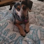 Eileen Pollock - Facebook
