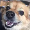 eileenpollock12 - @eileenpollock12 - TikTok