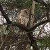 Eileen Potts - Facebook