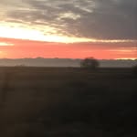 Eileen Pressler - @epressler2933 - Instagram