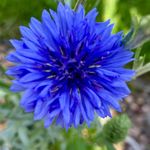 Eileen Price - @eileen.price.773 - Instagram