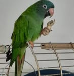 Eileen Price - Facebook