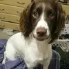 eileenpentz0 - @eileenpentz0 - TikTok