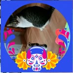 Ellen Probst - Facebook
