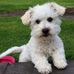 Eileen Prunty - Facebook