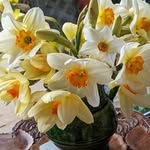 Eileen Pugh - @eileen.pugh.319 - Instagram