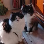 Eileen Schlager Pugh - @eipugh01 - Instagram
