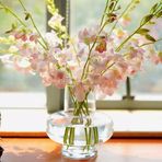 Eileen Qiu - Facebook