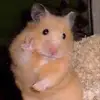 Aileen Quezada - @aileenquezada20 - TikTok