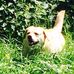 Eileen Quinlan - Facebook