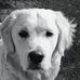 Eileen Quinlan - Facebook