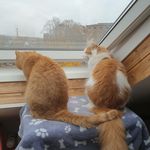 Eileen Raab - @caotpepe_eileen - Instagram