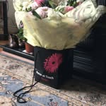 Eileen Bradford - @eileen.bradford.52 - Instagram