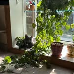 Eileen Rafferty Staehlin - @erspartan - Instagram