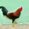Eileen ramirez - @eileen.ramirez01 - TikTok