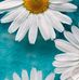 Eileen Reddington - Facebook