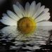 Eileen Reddington - Facebook