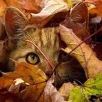 Eileen Reed - Facebook