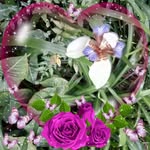 Eileen Reed - @eileenreed56 - Instagram