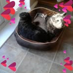 Eileen Reeves - Facebook