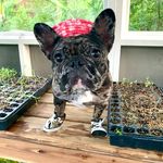 Eileen Reich - @reicheileen - Instagram