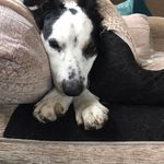 Eileen Rendall - @eileen.rendall - Instagram