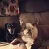 Eileen Renowden - @eileenrenowden1 - TikTok