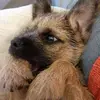 Eileen Fenwick623 - @eileenfenwick100 - TikTok