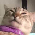 Eileen Reyna - @nin.ninchen - Instagram