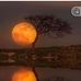 Eileen Galik Rhoads - Facebook