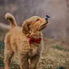 Eileen Galik Rhoads - @eileen.galik.rhoa - TikTok